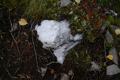 White quartz crystal, Pyhä-Luosto kansallispuisto, Lapland, Finland