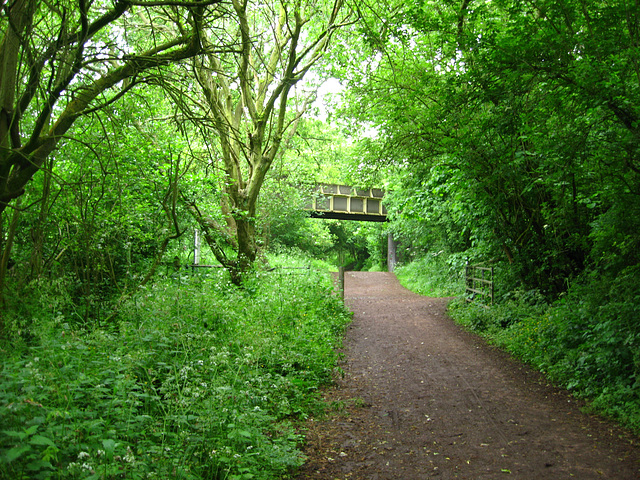 The South Staffordshire Railway Walk passing under Greyhound Lane