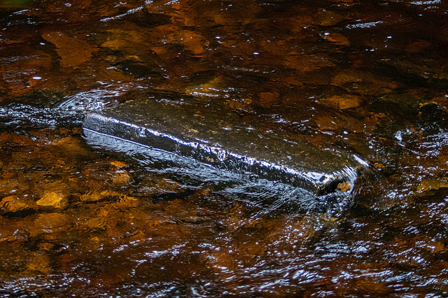 Stepping stone or Gold Bar?