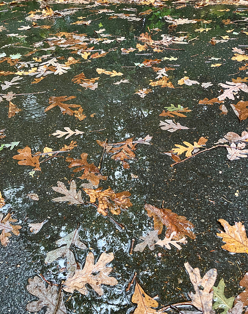 On the Driveway