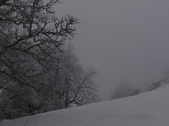 20250112 Raquettes Crêtes de Charande (Vercors) (44)