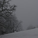 20250112 Raquettes Crêtes de Charande (Vercors) (44)