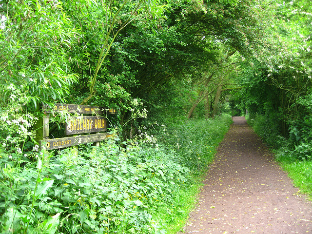 The South Staffordshire Railway Walk