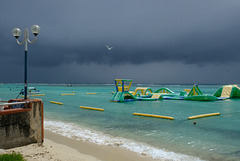 plage de STE ANNE GWADA 19 02 20 (213)