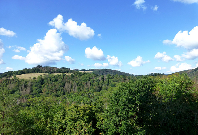 DE - Nassau - Blick von der Burg