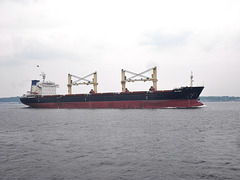 VEGA EVEREST