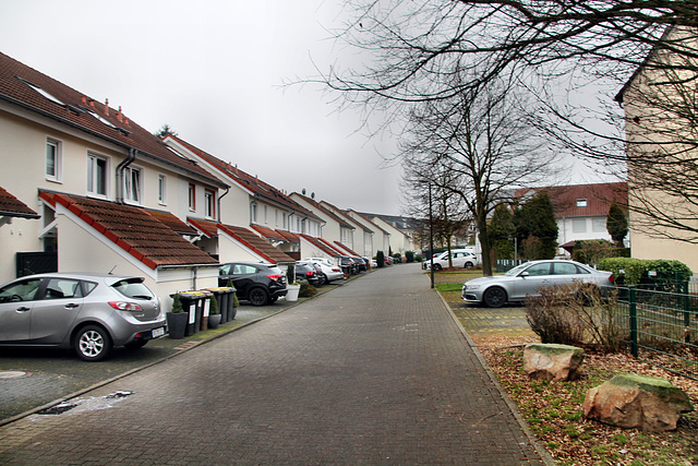 Am Schmechtingsbach (Dortmund-Lütgendortmund) / 11.02.2023