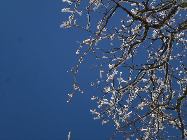 20150101 -03 Raquettes Vercors (7) al