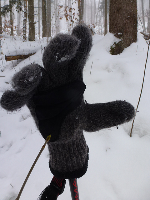 20150131 Raquettes Vercors La Goulandiere (103) al