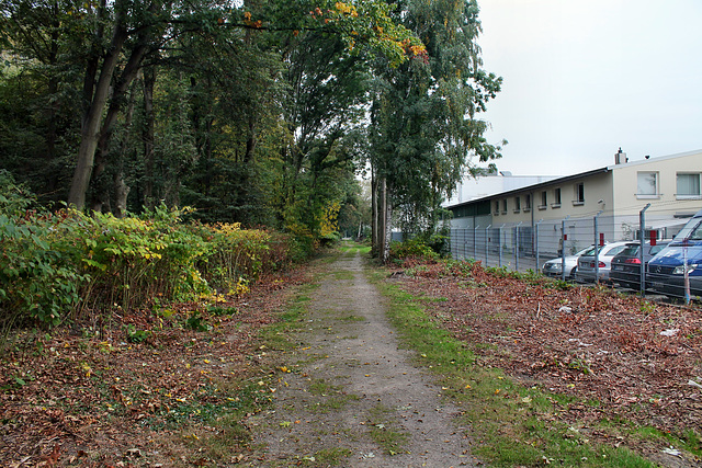 Wanderweg, ehem. Zechenbahn (Bochum-Hamme) / 17.10.2016