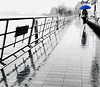 here comes the rain again