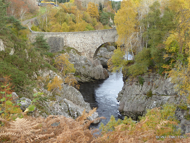 Dulsie Bridge - Autumn Colours