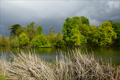 Bois de Vincennes, Lac Jaune