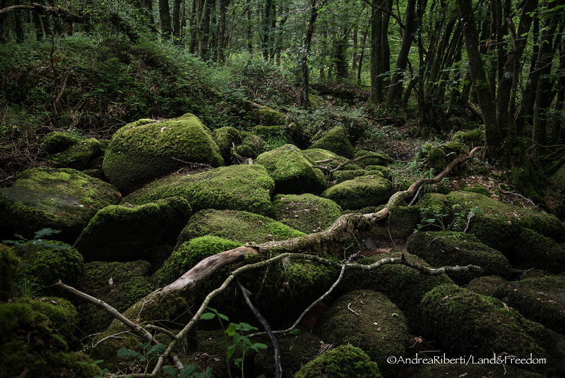 Gorges du Corong - Landes de Locarn