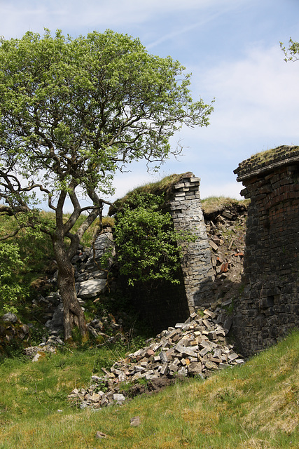 Ruined Brickworks