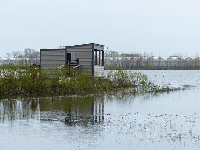 Day 3 afternoon, Hillman Marsh blind