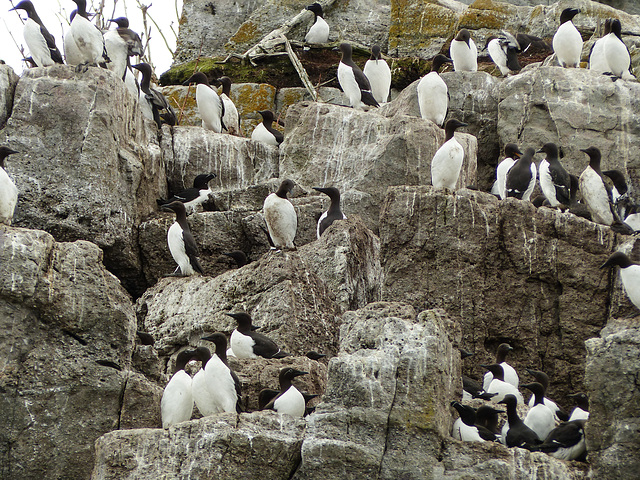 Day 11, Brandy Pot Islands