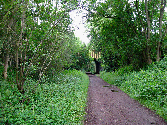 The South Staffordshire Railway Walk