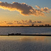 Post Sunset at Broadmarsh Coastal Park (+PiPs)
