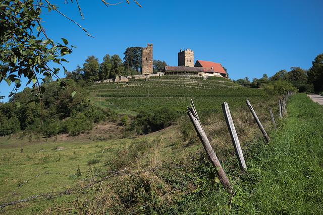 HFF - Burg Neipperg