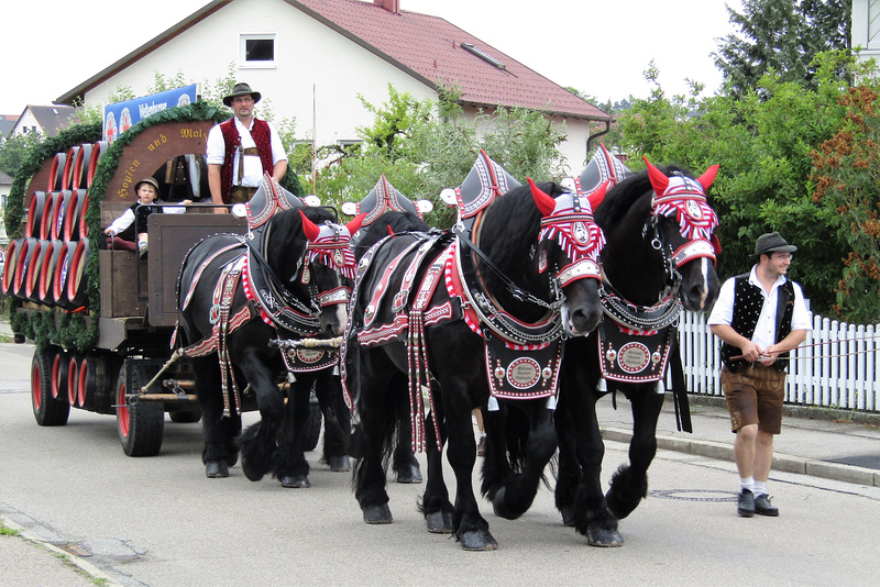 Biergespann