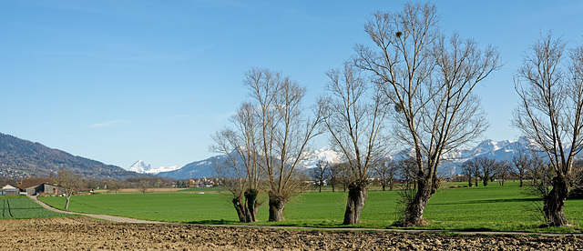 Printemps à Puplinge GE