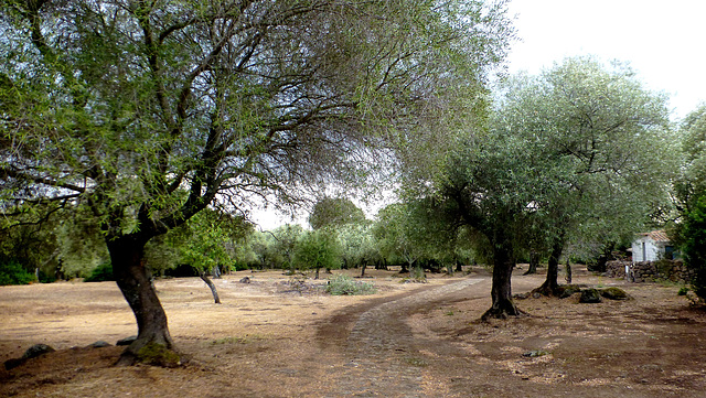 Quelque part en Sardaigne.