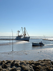 MV Claudia stranded
