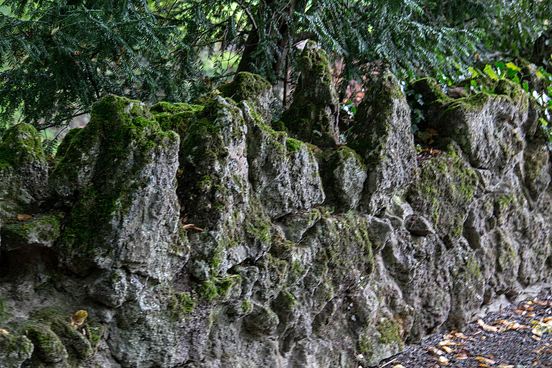 20140831 4733VRAw [D~SHG] Schlossmauer, Bückeburg