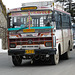 Shimla- Tata Bus (Anil Travels)