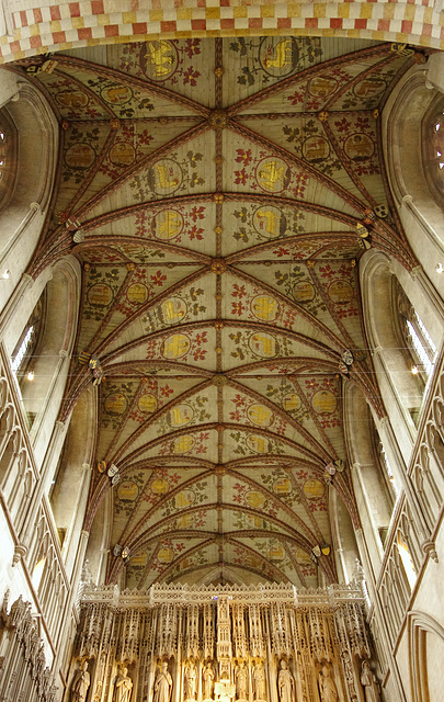 Nave ceiling