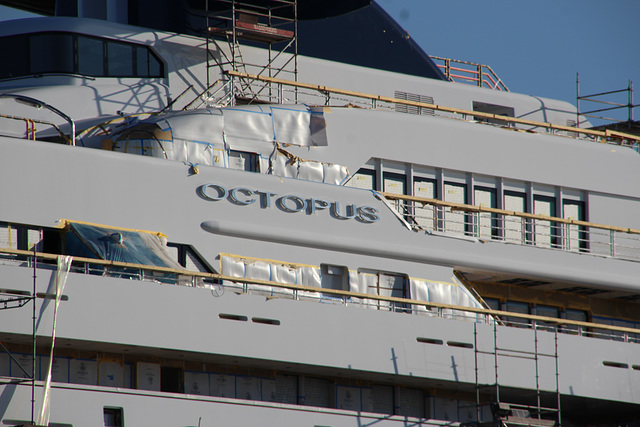 Yacht OCTOPUS im Dock