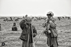 Shepherds in northern Afghanistan
