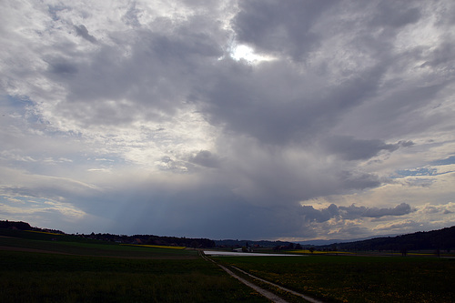 Die Regenfront kanm dann leider mal wieder nicht bis zu uns