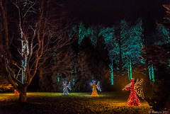 pls. view on black background → Christmas Garden @ Insel Mainau (Konstanz-Bodensee) (© Buelipix)