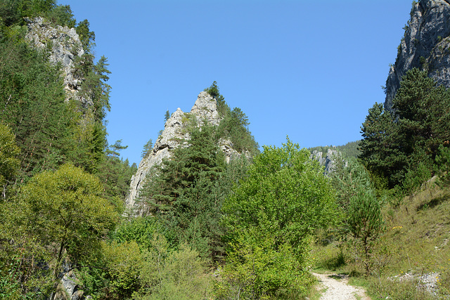 Romania, Trail up to the Cheile Şugăului-Munticelu Nature Reserve