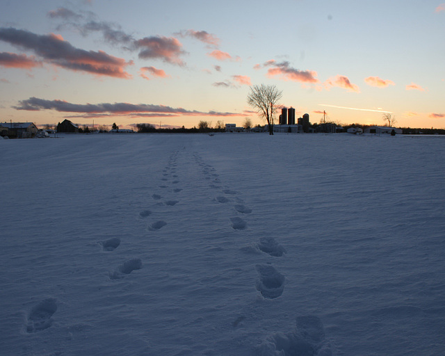 walking home/retourà la maison
