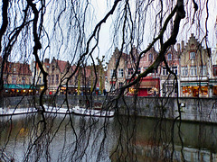 Bruges - Willow
