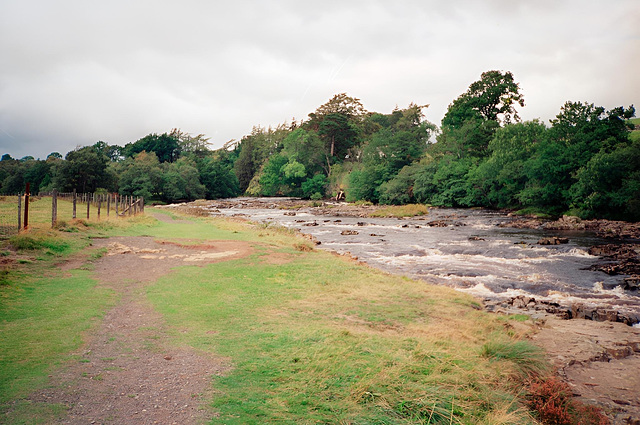 River Tees above Low Force (Scan from September 1990)