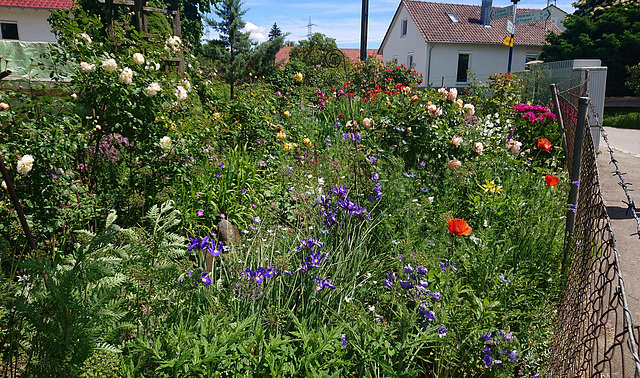 HFF - Blumengrüße aus dem Bauerngarten