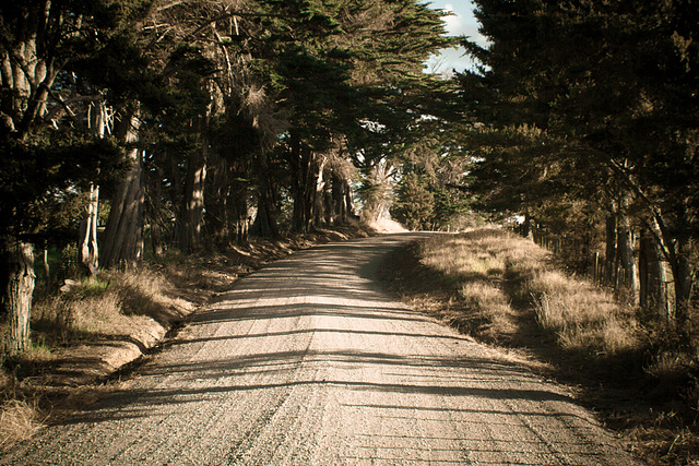 Back Roads