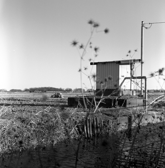 Pump hut by the irrigation channel