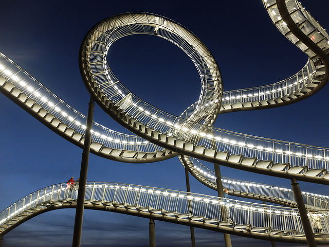 Tiger & Turtle Looping