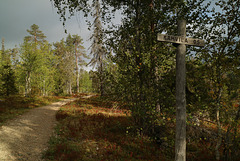 Lampivaara, Pyhä-Luosto kansallispuisto, Lapland, Finland