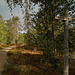 Lampivaara, Pyhä-Luosto kansallispuisto, Lapland, Finland
