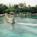 Disney World, Orlando,  20,000 Leagues Under the Sea: Submarine Voyage (June 1981)