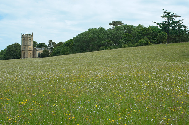 The meadow in front of the church