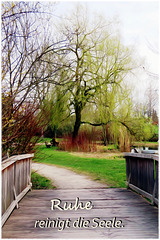 im Kurpark (KW14)
