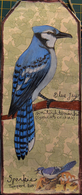 Blue Jay