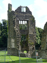 Neath Abbey (16) - 26 August 2015